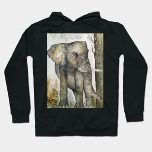 Elephant Hoodie